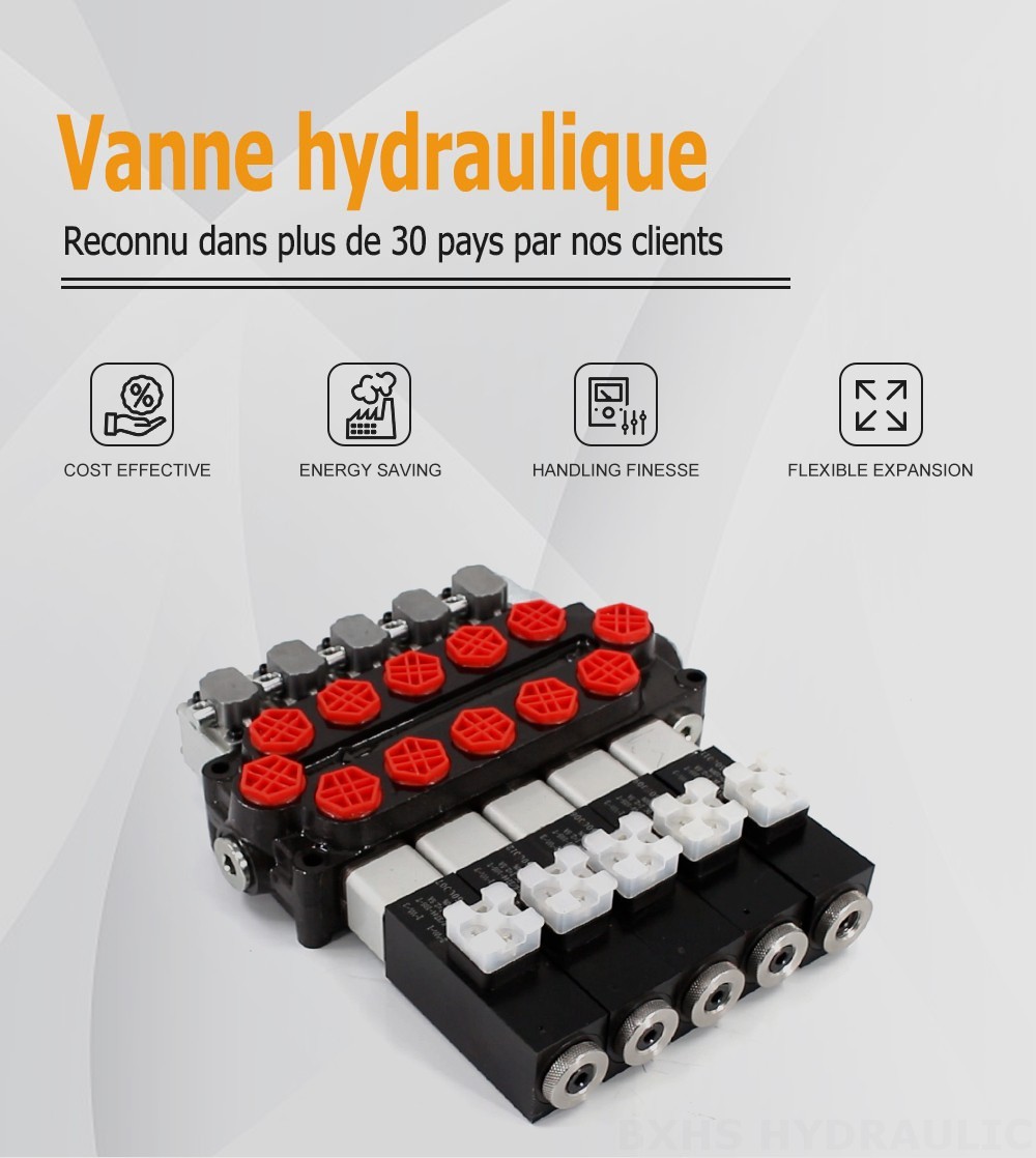 Q45 Solénoïde et manuel 5 distributeurs Vanne directionnelle monobloc